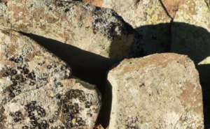 Area archeologica Tramassunele